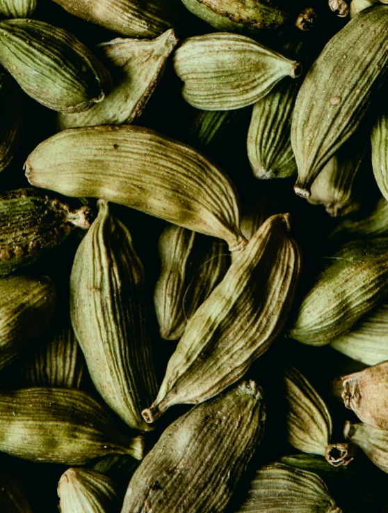Hand & Body Wash, Ginger & Smoky Cardamom